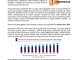 poza1instrumente
