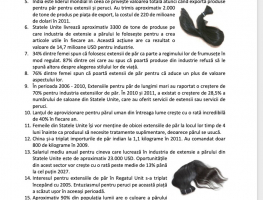 peruci1